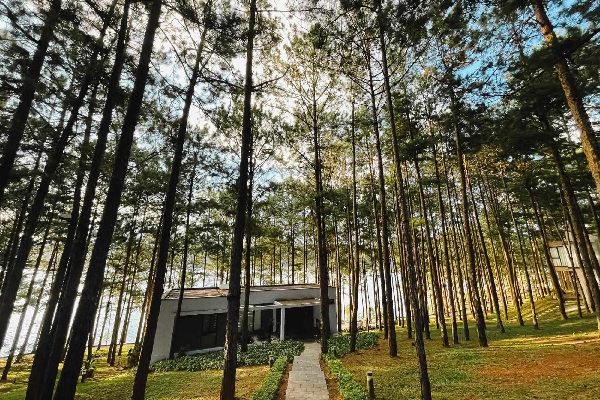 Terracotta Hotel & Resort Dalat Екстер'єр фото